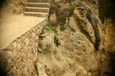 Enlarge photo 291