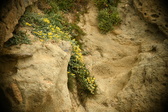 Enlarge photo 293
