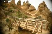 Enlarge photo 294