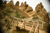 Enlarge photo 295
