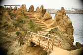 Enlarge photo 296