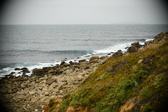Enlarge photo 301