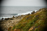 Enlarge photo 302