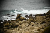 Enlarge photo 303