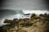 Enlarge photo 304