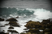 Enlarge photo 305