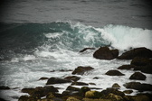 Enlarge photo 306