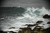 Enlarge photo 307