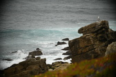 Enlarge photo 311