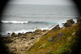 Enlarge photo 312
