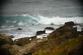 Enlarge photo 313