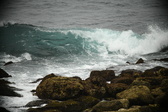 Enlarge photo 315