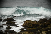 Enlarge photo 316