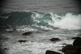 Enlarge photo 318