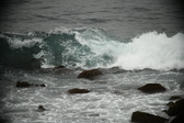Enlarge photo 319