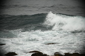 Enlarge photo 322