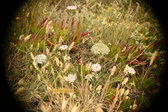 Enlarge photo 324
