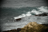 Enlarge photo 332