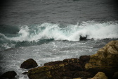 Enlarge photo 334
