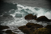 Enlarge photo 335