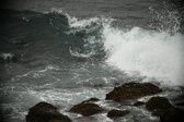 Enlarge photo 336