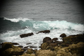 Enlarge photo 338