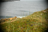 Enlarge photo 339
