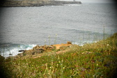 Enlarge photo 340