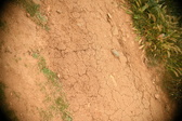 Enlarge photo 342