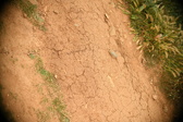 Enlarge photo 343