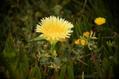Enlarge photo 348