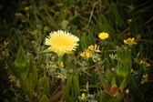 Enlarge photo 351