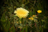 Enlarge photo 354
