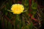 Enlarge photo 355