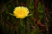Enlarge photo 357