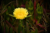 Enlarge photo 358