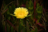 Enlarge photo 359