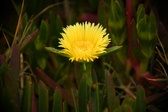 Enlarge photo 361