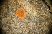 Enlarge photo 373