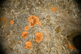 Enlarge photo 374