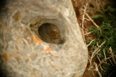 Enlarge photo 375