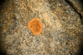 Enlarge photo 378