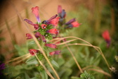 Enlarge photo 382