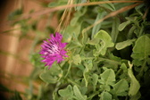 Enlarge photo 389