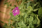 Enlarge photo 391