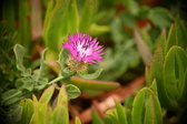 Enlarge photo 394