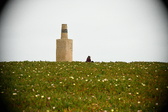 Enlarge photo 396