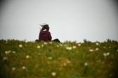 Enlarge photo 397