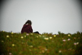 Enlarge photo 407