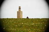 Enlarge photo 408